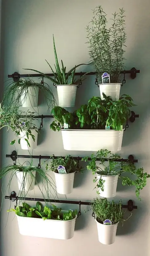 Kitchen Garden Herb Wall